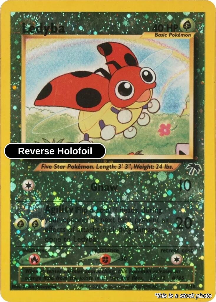 Ledyba