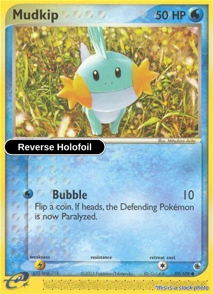 Mudkip - 59/109