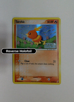 Torchic - 065/100