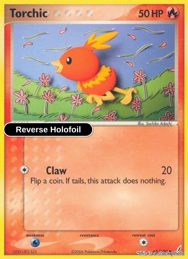 Torchic - 065/100